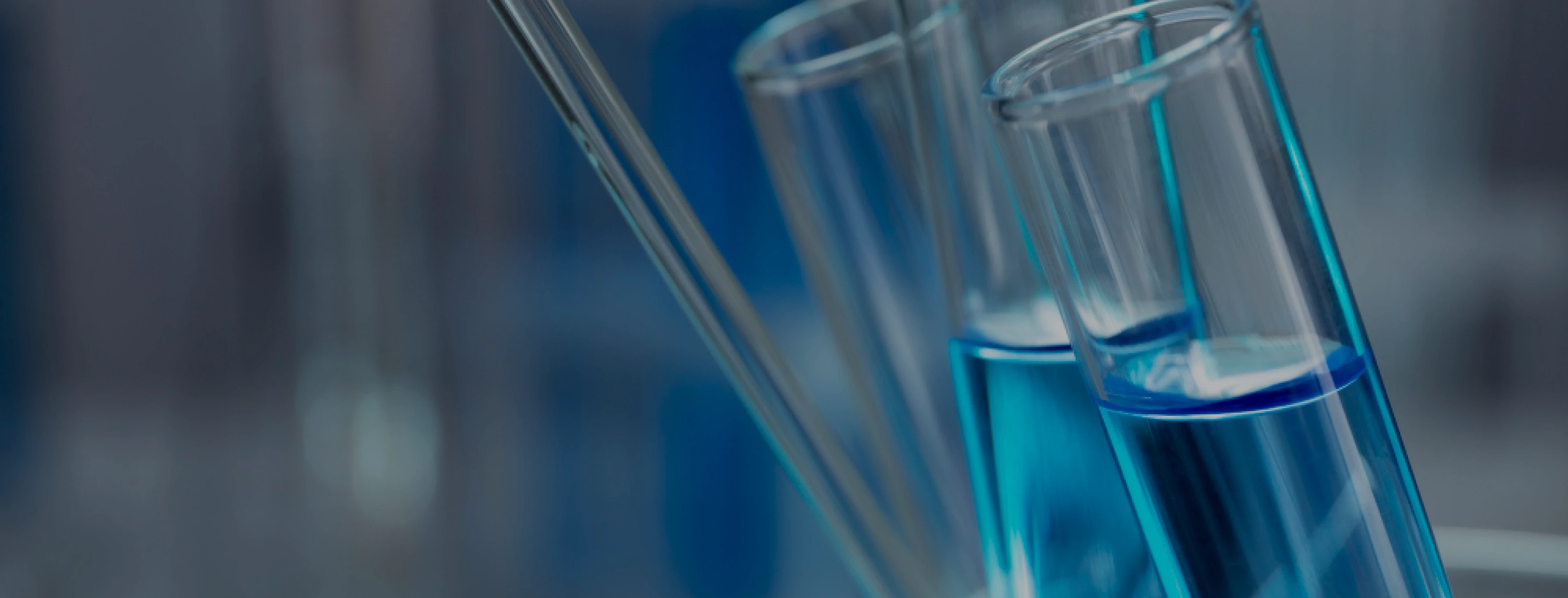 bg_sec_img_sctn_rxxu